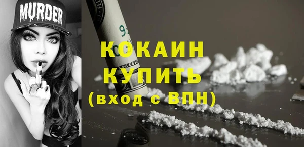 прущие грибы Белокуриха
