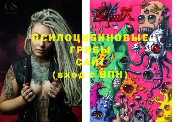 PSILOCYBIN Беломорск