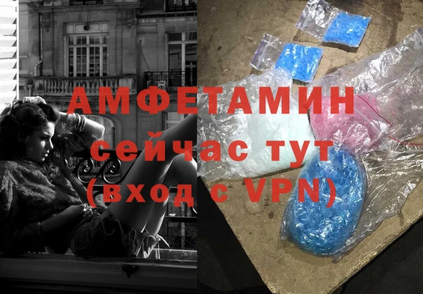 прущие грибы Белокуриха