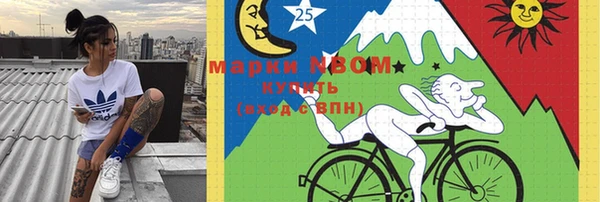 прущие грибы Белокуриха