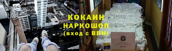 прущие грибы Белокуриха