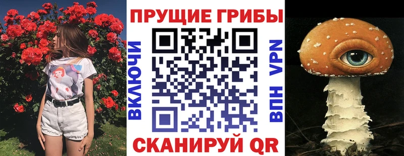 Псилоцибиновые грибы прущие грибы  купить наркоту  Новоалександровск 