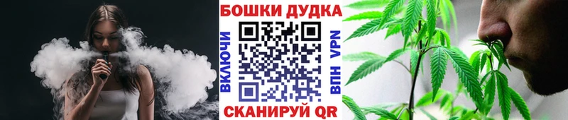Конопля MAZAR Новоалександровск